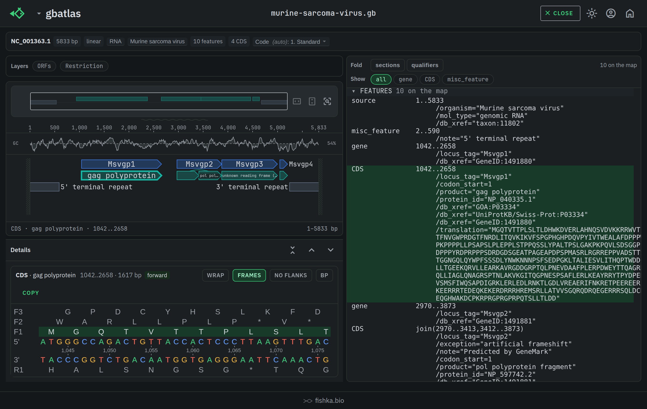 gbatlas showing the raw annotated GenBank source text next to the feature map, with a selected feature highlighted in both, dark theme