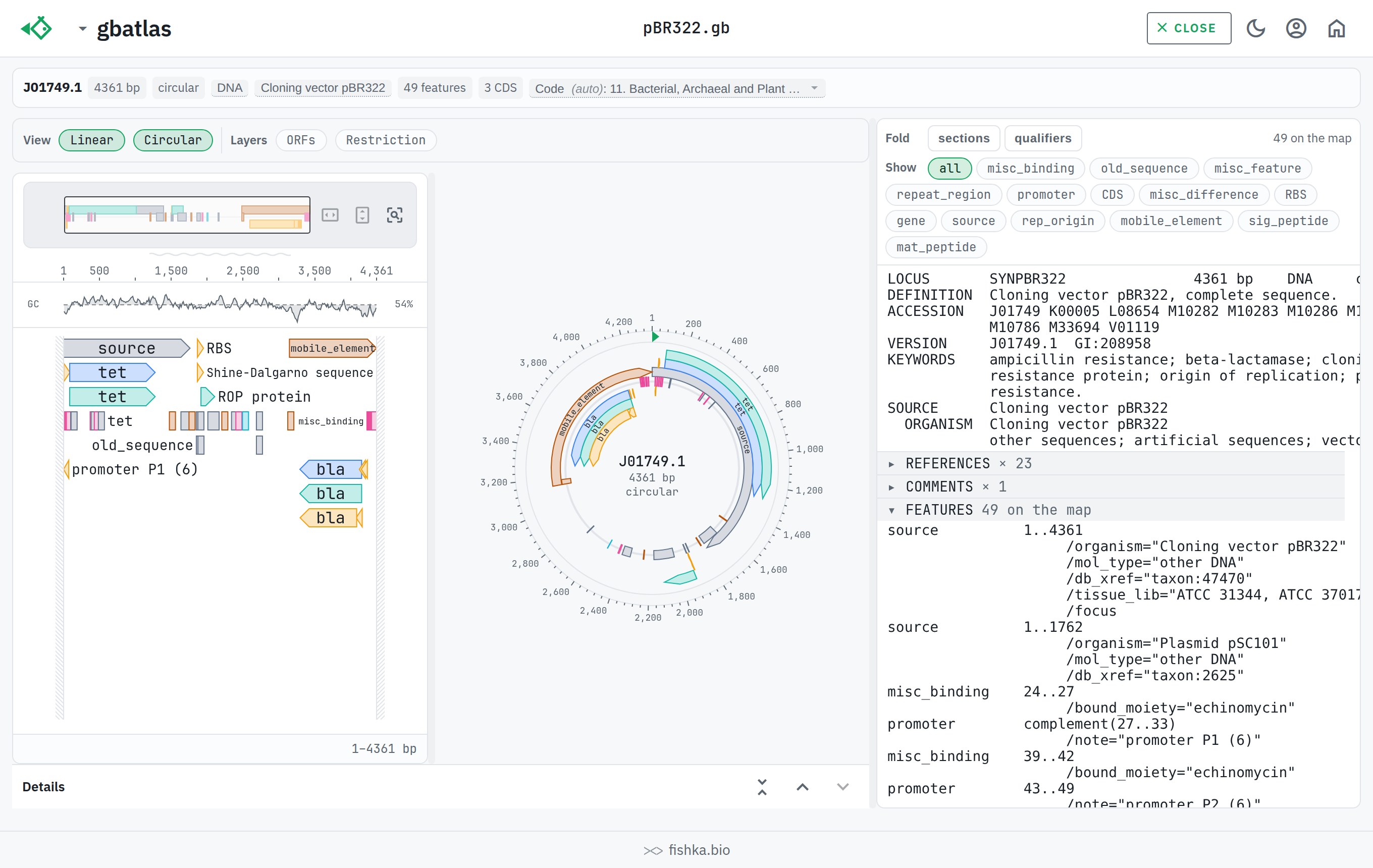 gbatlas showing the pBR322 plasmid as a circular ring map next to its linear feature map, light theme