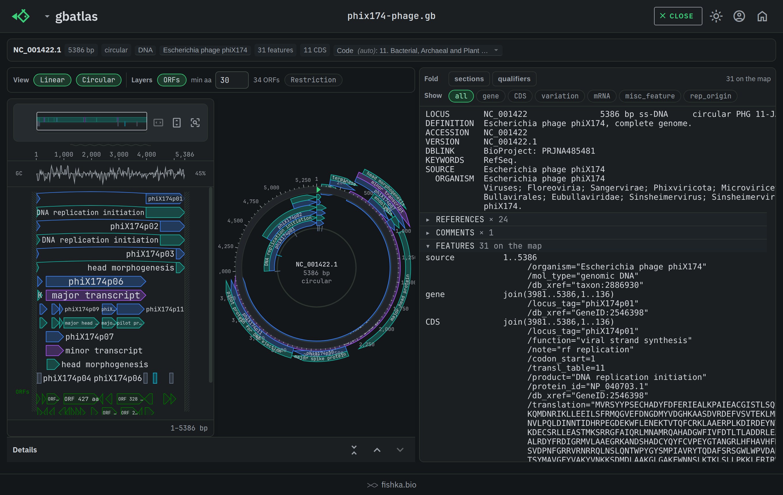gbatlas showing computed open reading frames as an extra layer over a GenBank feature map, dark theme