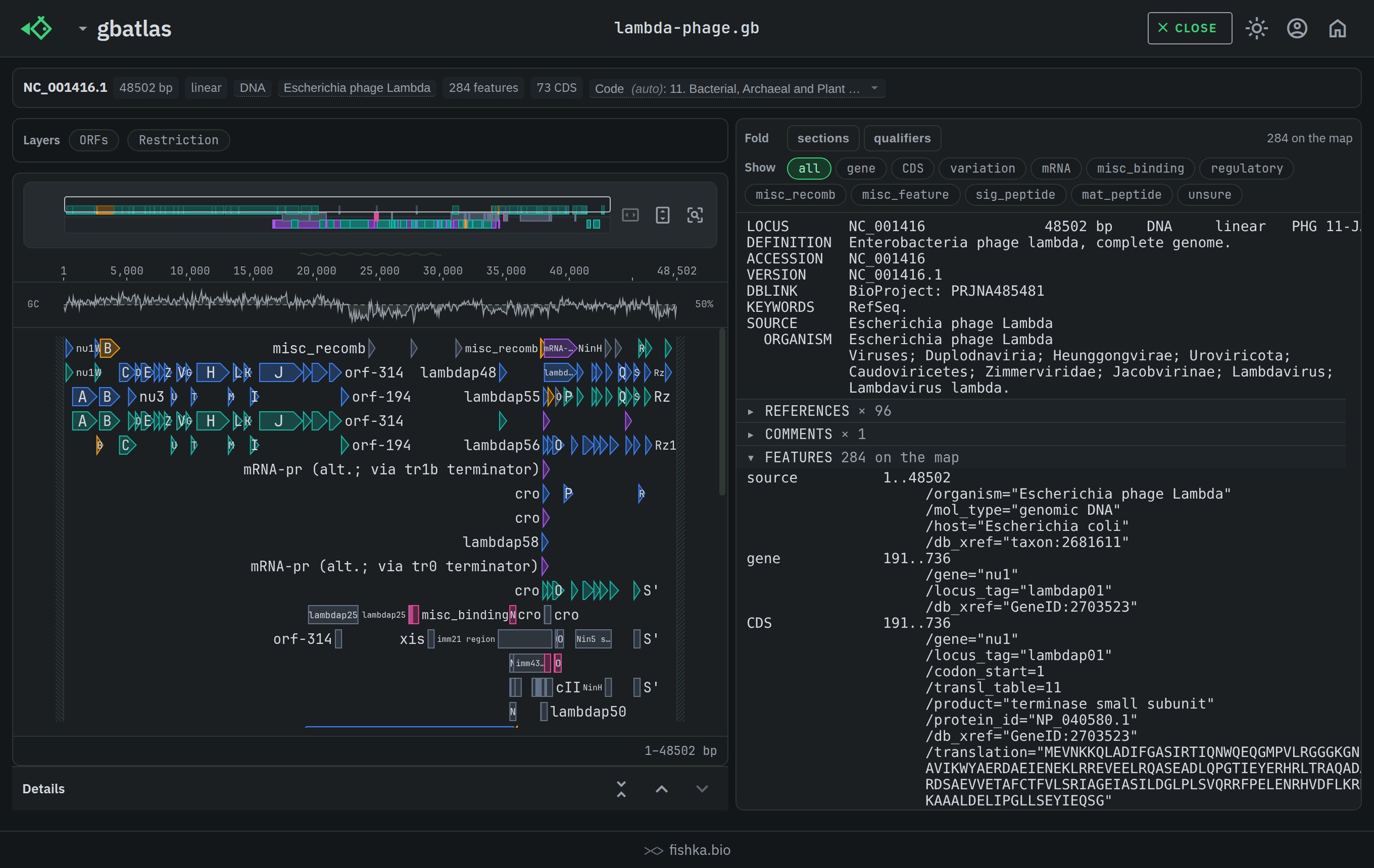 gbatlas showing a GenBank record as a linear feature map with the record summary above it and the sequence below, in a dark theme