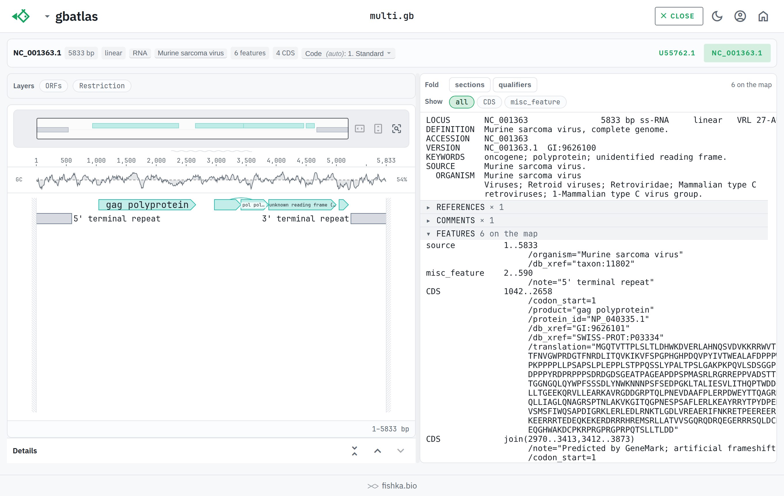 gbatlas showing the record picker of a multi-record GenBank file, with the second record selected, light theme