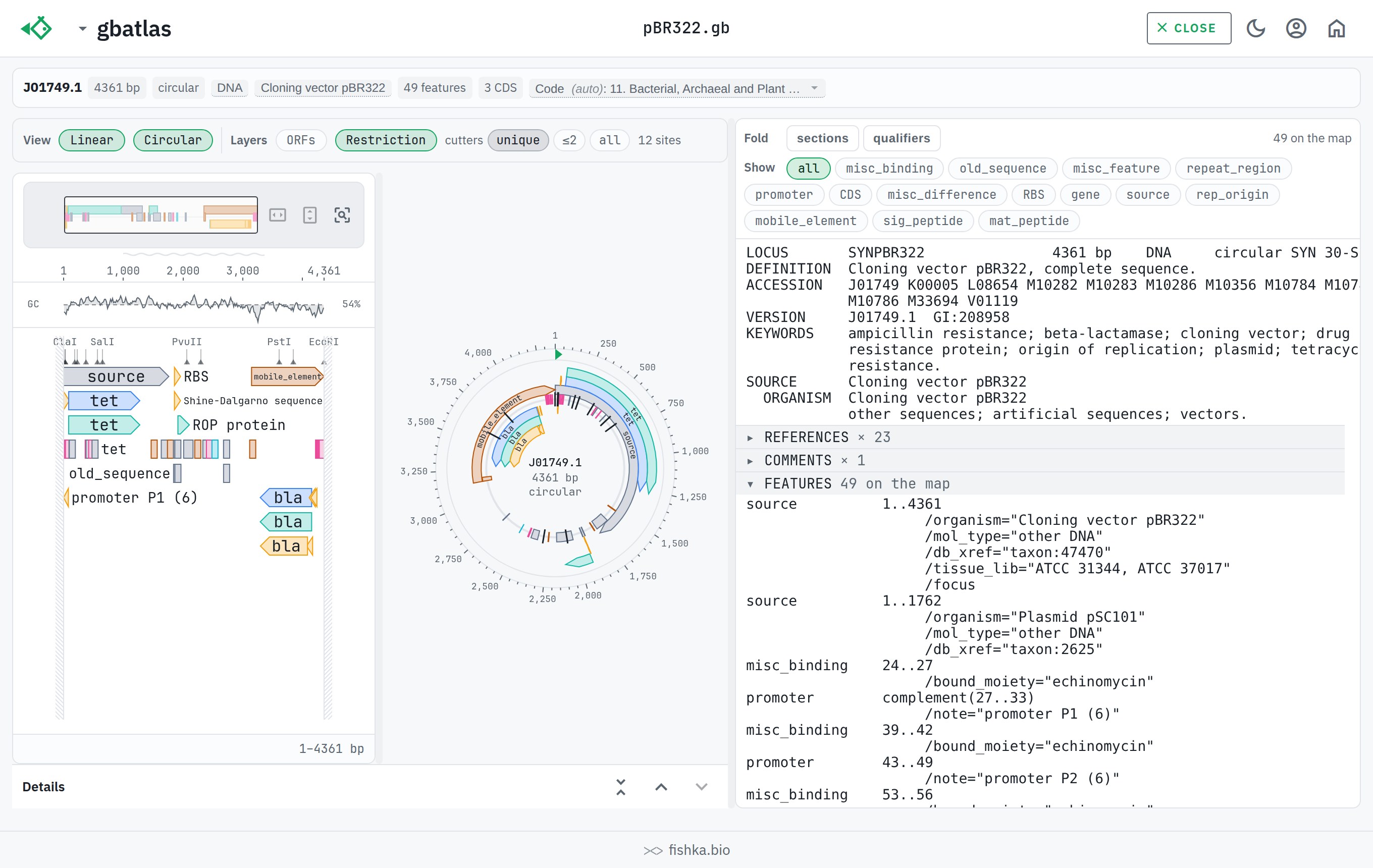 gbatlas mapping restriction sites onto a circular plasmid, with the cut-site layer enabled, light theme