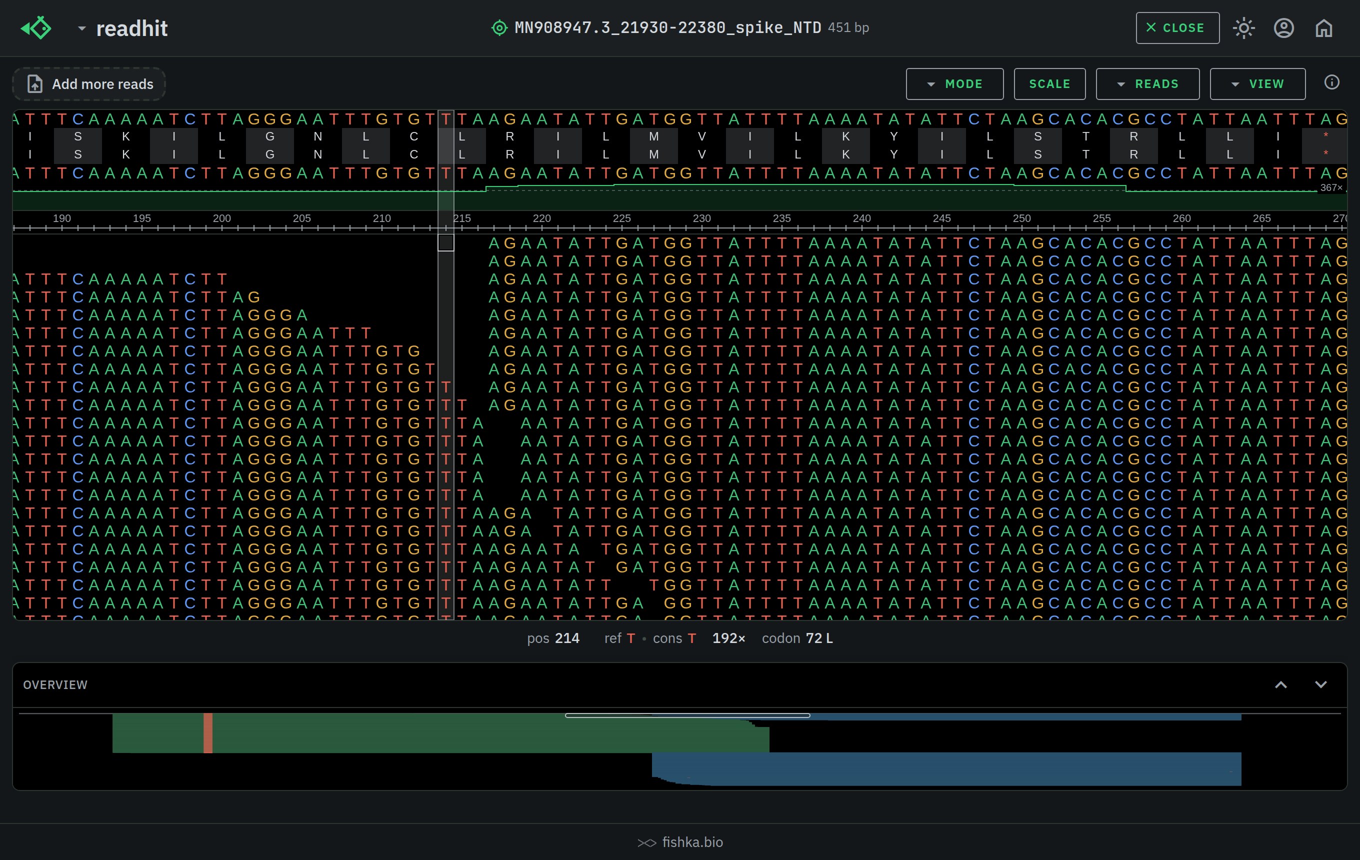 readhit translating the reference and the consensus into protein lanes above a pileup, with the codon and its effect reported for the position under the cursor, dark theme