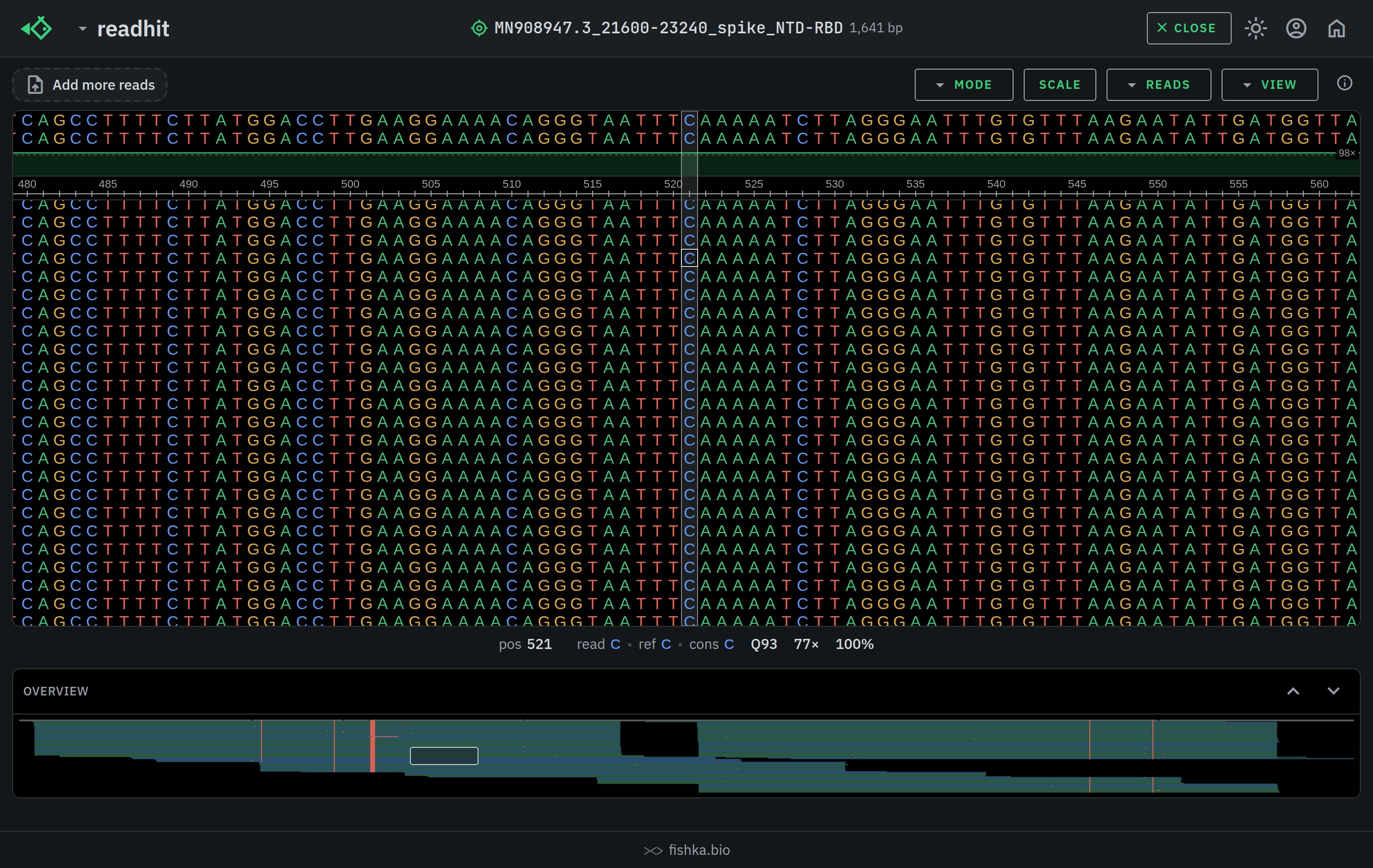 readhit displaying a SAM file of 150 PacBio HiFi reads on a 1.6 kb reference, placed by their CIGAR records, with the readout of the clicked column showing 77-fold depth and a Q93 base, dark theme